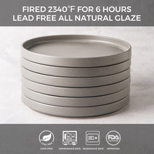 Load image into Gallery viewer, Matte Stoneware Dinner Plates 8.0 Inch Set of 6 - ASP001