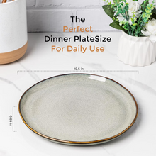 Load image into Gallery viewer, AmorArc Ceramic Dinner Plates Set of 6,10.5 Inch Handmade Reactive Glaze Stoneware Plates, Rustic Shape Dinnerware Dish Set for Kitchen, Microwave &amp; Dishwasher Safe, Scratch Resistant-Green Wheat
