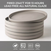 Load image into Gallery viewer, Matte Stoneware Dinner Plates 10.0 Inch Set of 6  - ADP001
