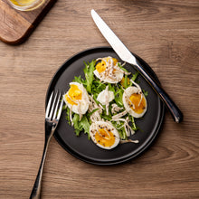Load image into Gallery viewer, Matte Stoneware Dinner Plates 8.0 Inch Set of 6  - ASP001
